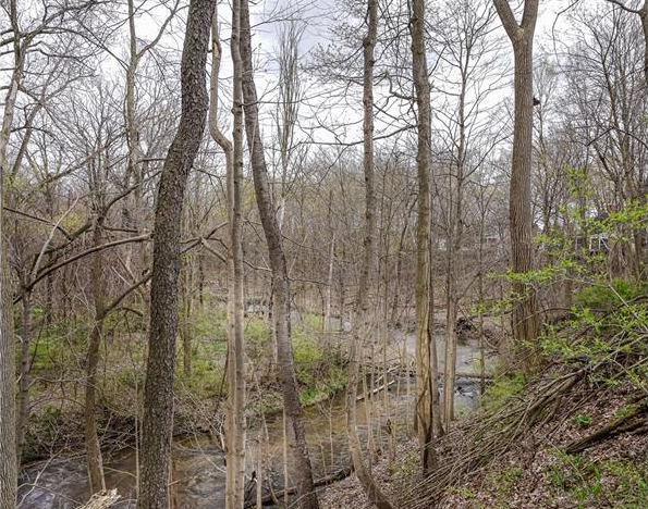 Stony Creek Rochester Hills 